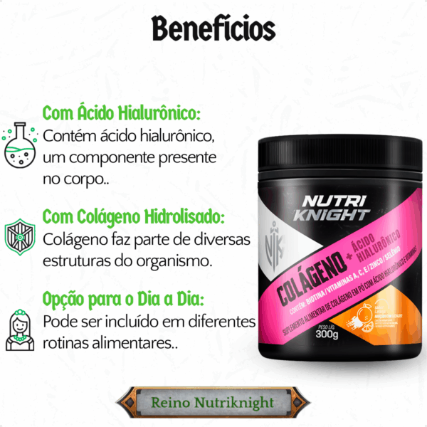 Colágeno + Ácido Hialurônico 300g - Laranja Nutriknight - Imagem 3