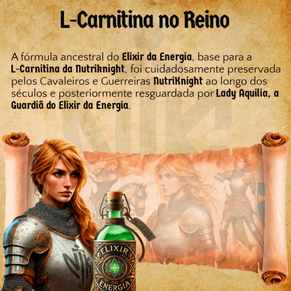 L-Carnitina 2000 480ml - Limonada Suíça Nutriknight - Imagem 5